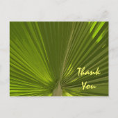 Carte Postale Merci de palme tropical (Devant)