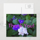 Carte Postale Merci de Petunias (Devant / Derrière)