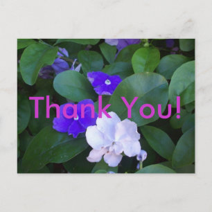 Carte Postale Merci de Petunias