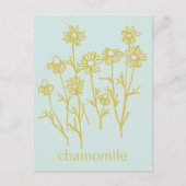 Carte Postale Merci de soutenir mon entreprise Camomille (Devant)