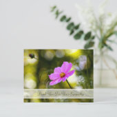 Carte Postale Merci de sympathie Soirée Cosmos rose Fleur sauvag (Debout devant)