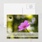 Carte Postale Merci de sympathie Soirée Cosmos rose Fleur sauvag (Devant / Derrière)