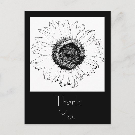 Carte Postale Merci de tournesol noir et blanc (Devant)