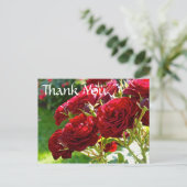 Carte Postale Merci des Roses rouges (Debout devant)