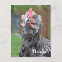 Merci d'un joyeux coq