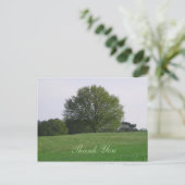 Carte postale Merci en chêne d'eau (Debout devant)