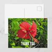 Carte Postale Merci Fleur Tropicale Floral Rose Clair (Devant / Derrière)