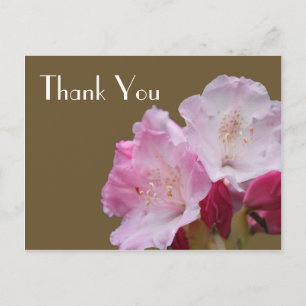 Carte Postale Merci, fleurs d'azalée rose,杜鹃花