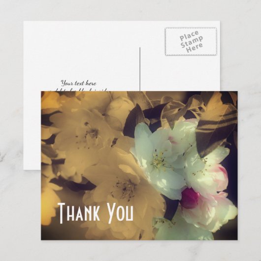 Carte postale Merci Fleurs de printemps Sépia (Devant / Derrière)
