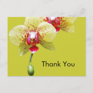 Carte Postale merci, fleurs d'orchidée jaune