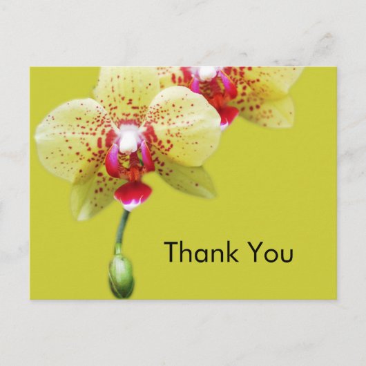 Carte Postale merci, fleurs d'orchidée jaune (Devant)