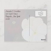 Carte Postale Merci floral (Dos)