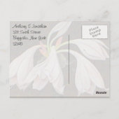 Carte Postale Merci floral blanc (Dos)