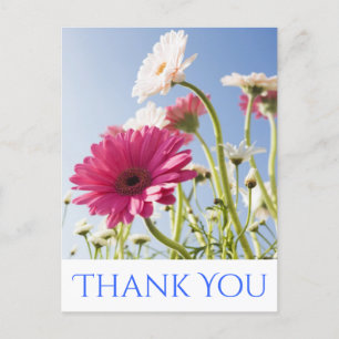 Carte Postale Merci floral rose et blanc Gerbera Fleur marguerit