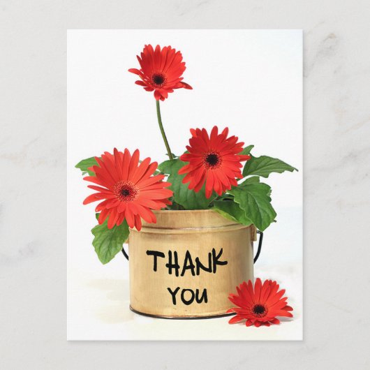 Carte Postale Merci floral Rouge Gerbera Fleurs marguerites (Devant)