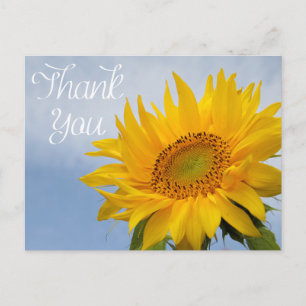 Carte Postale Merci Floral Tournesol Jaune Fleur bleu ciel