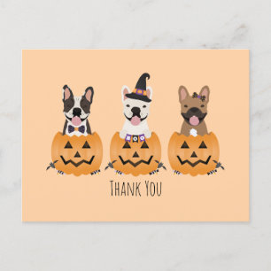 Carte Postale Merci French Bulldogs Citrouille