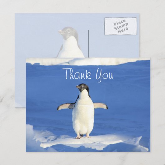 Carte Postale Merci Funny Penguin (Devant / Derrière)