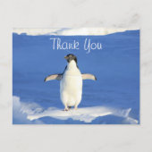 Carte Postale Merci Funny Penguin (Devant)