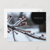 Carte Postale Merci glacial de branche d'arbre (Devant / Derrière)