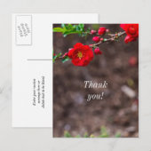 Carte Postale Merci Haut rouge écarlate (Devant / Derrière)