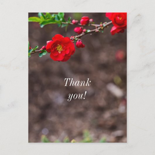 Carte Postale Merci Haut rouge écarlate (Devant)