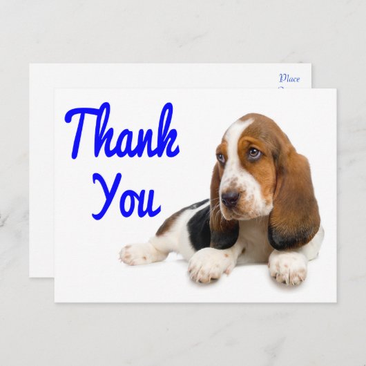 Carte postale Merci Hound (Devant / Derrière)