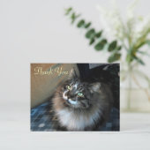 Carte postale Merci irrésistible Cat Zorro (Debout devant)