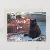 Carte postale Merci Kitty (Devant / Derrière)