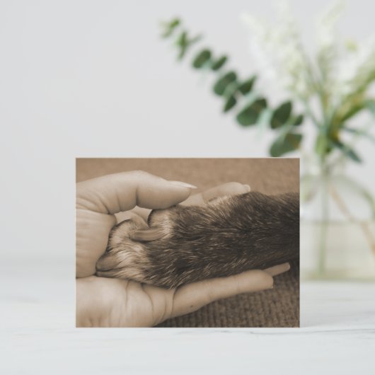 Carte Postale Merci, mon ami. (Debout devant)