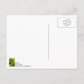 Carte postale Merci Monarch sur Lantana (Dos)