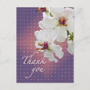 Carte Postale Merci Moth Mullein Fleur sauvage