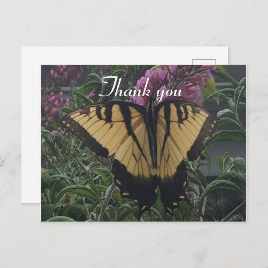 Carte Postale Merci Papillon jaune et noir (Devant / Derrière)