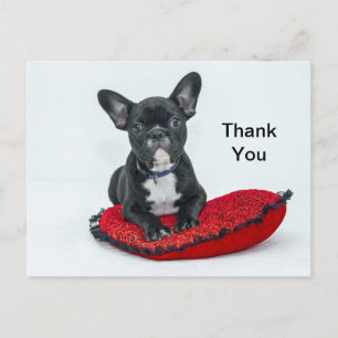 Carte Postale Merci photo Coussin noir Bulldog français