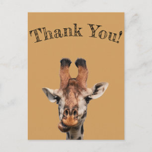 Carte Postale merci, photo de drôle girafe, minimaliste
