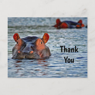 Carte Postale Merci photo de la faune Hippo Water