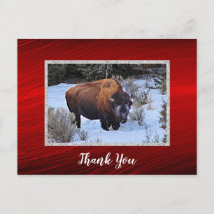Carte Postale Merci photo de la neige de Buffalo