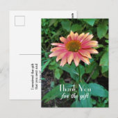 Carte Postale Merci photo rose Zinnia avec un accueil (Devant / Derrière)