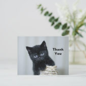 Carte Postale Merci photo Twine Cute Black Kitten (Debout devant)