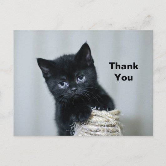 Carte Postale Merci photo Twine Cute Black Kitten (Devant)