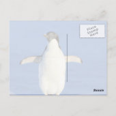 Carte Postale Merci Pingouin Drôle (Dos)