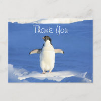 Merci Pingouin Drôle