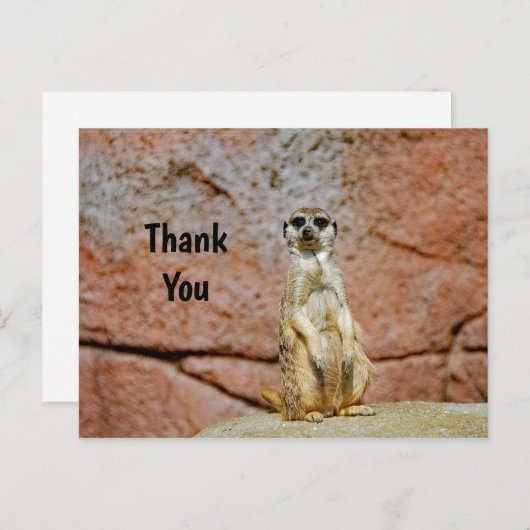 Carte Postale Merci pour la photo de la faune de suricate (Devant / Derrière)