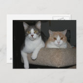 Carte Postale Merci pour le mentorat (Devant / Derrière)