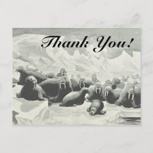Carte postale "Merci !" pour un troupeau de morses