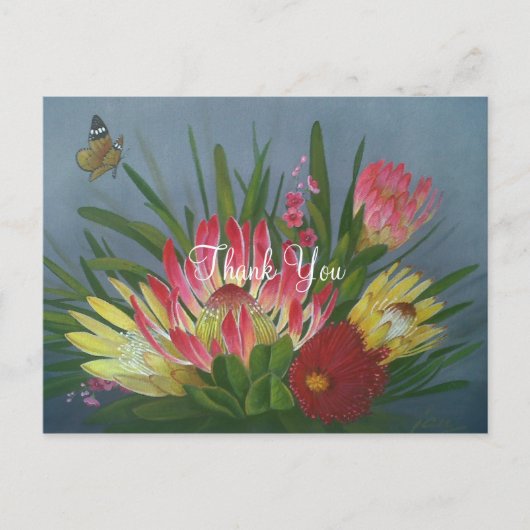 Carte Postale Merci Proteas d'Afrique du Sud (Devant)