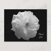 Carte postale Merci rose (Devant)