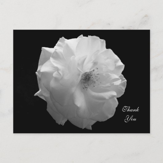 Carte postale Merci rose (Devant)