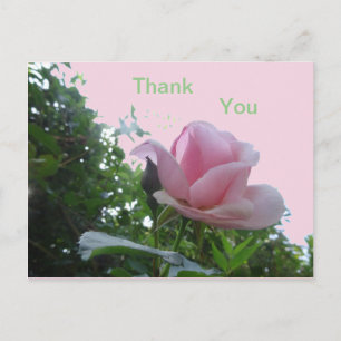 Carte postale Merci Rose Close