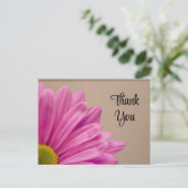 Carte Postale Merci rose Gerber Daisy (Debout devant)